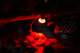 dsc01962_small.jpg