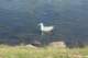 dsc01986_small.jpg