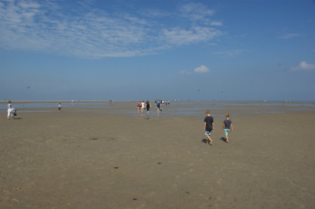 dsc02006.jpg