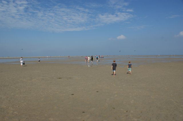 dsc02007.jpg