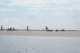 dsc02013_small.jpg