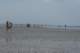 dsc02015_small.jpg