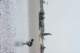 dsc02023_small.jpg