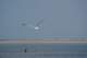 dsc02038_small.jpg