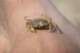 dsc02054_small.jpg