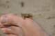 dsc02055_small.jpg