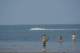 dsc02060_small.jpg