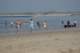 dsc02063_small.jpg