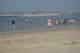 dsc02067_small.jpg