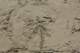 dsc02079_small.jpg