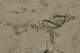 dsc02080_small.jpg