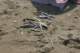 dsc02084_small.jpg