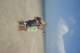 dsc02085_small.jpg