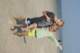 dsc02086_small.jpg