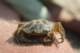 dsc02093_small.jpg