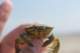 dsc02094_small.jpg