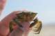 dsc02095_small.jpg
