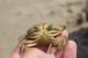 dsc02096_small.jpg