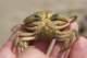 dsc02097_small.jpg