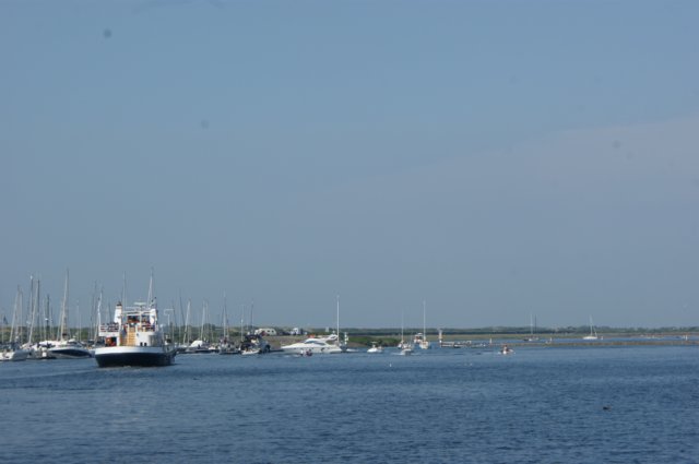 dsc02100.jpg