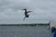 dsc02105_small.jpg