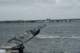 dsc02146_small.jpg